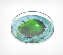 Монетница круглая RONDA - Изготовление и продажа POS-материалов высокого качества